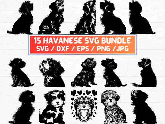 What Is Havanese SVG and Why It Matters for Your Creative Projects